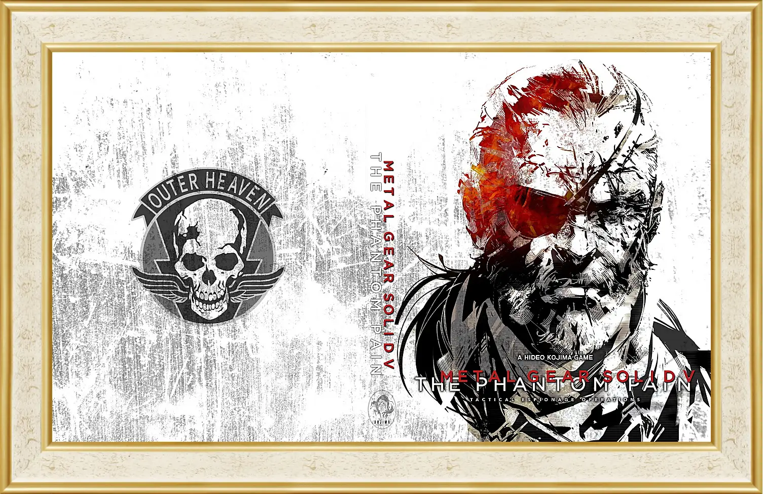 Картина в раме - Metal Gear Solid V: The Phantom Pain
