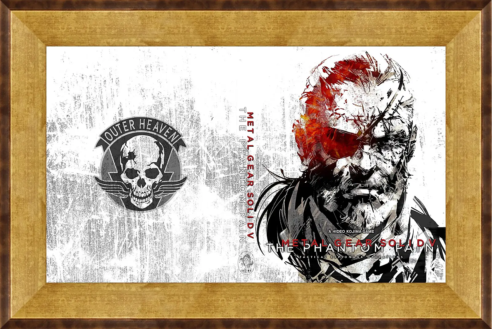 Картина в раме - Metal Gear Solid V: The Phantom Pain
