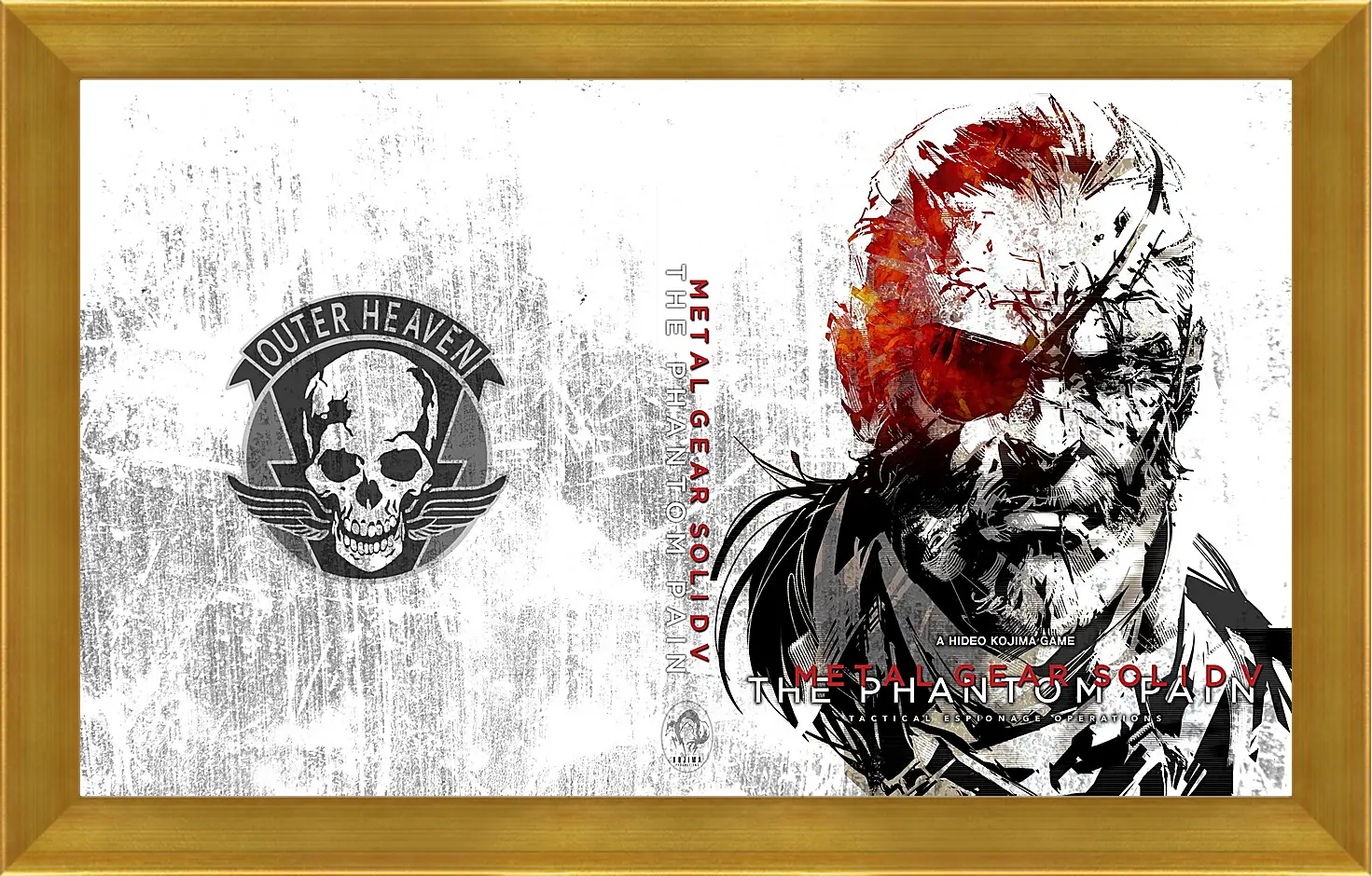 Картина в раме - Metal Gear Solid V: The Phantom Pain
