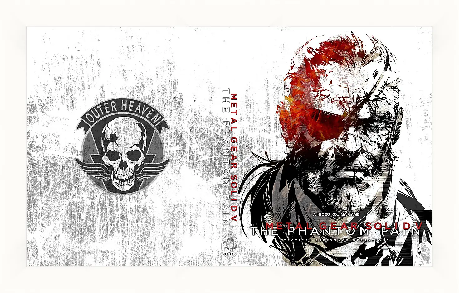 Картина в раме - Metal Gear Solid V: The Phantom Pain
