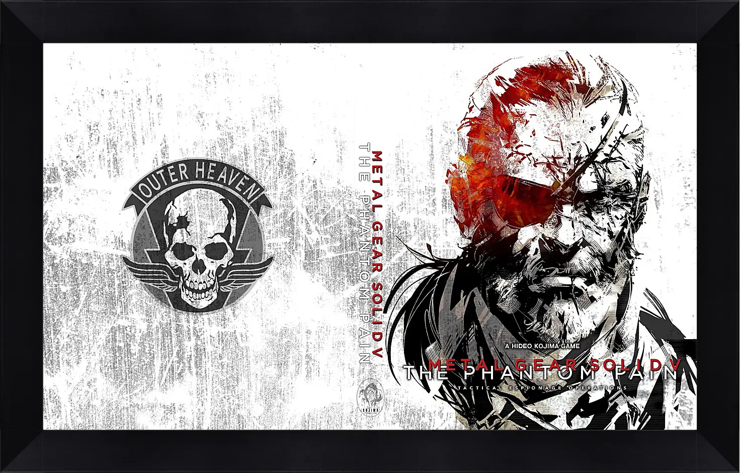 Картина в раме - Metal Gear Solid V: The Phantom Pain
