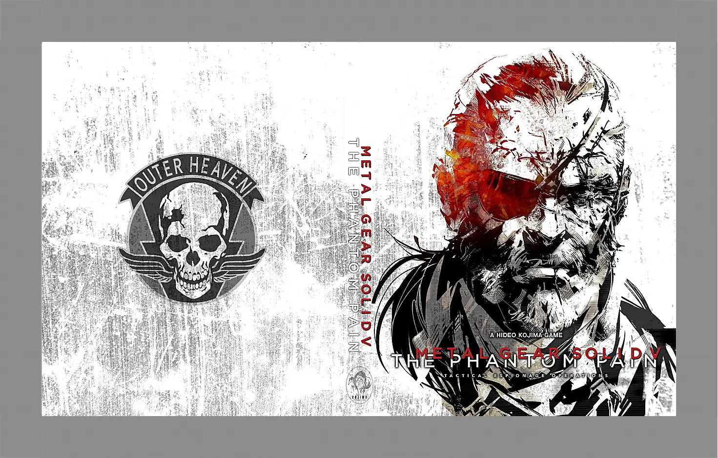 Картина в раме - Metal Gear Solid V: The Phantom Pain
