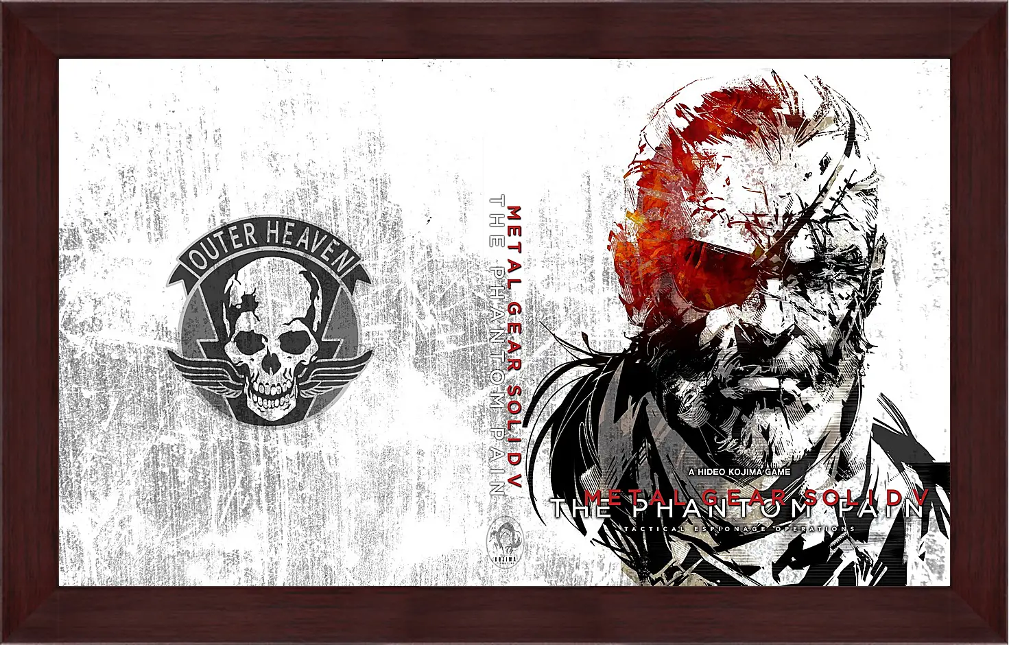 Картина в раме - Metal Gear Solid V: The Phantom Pain
