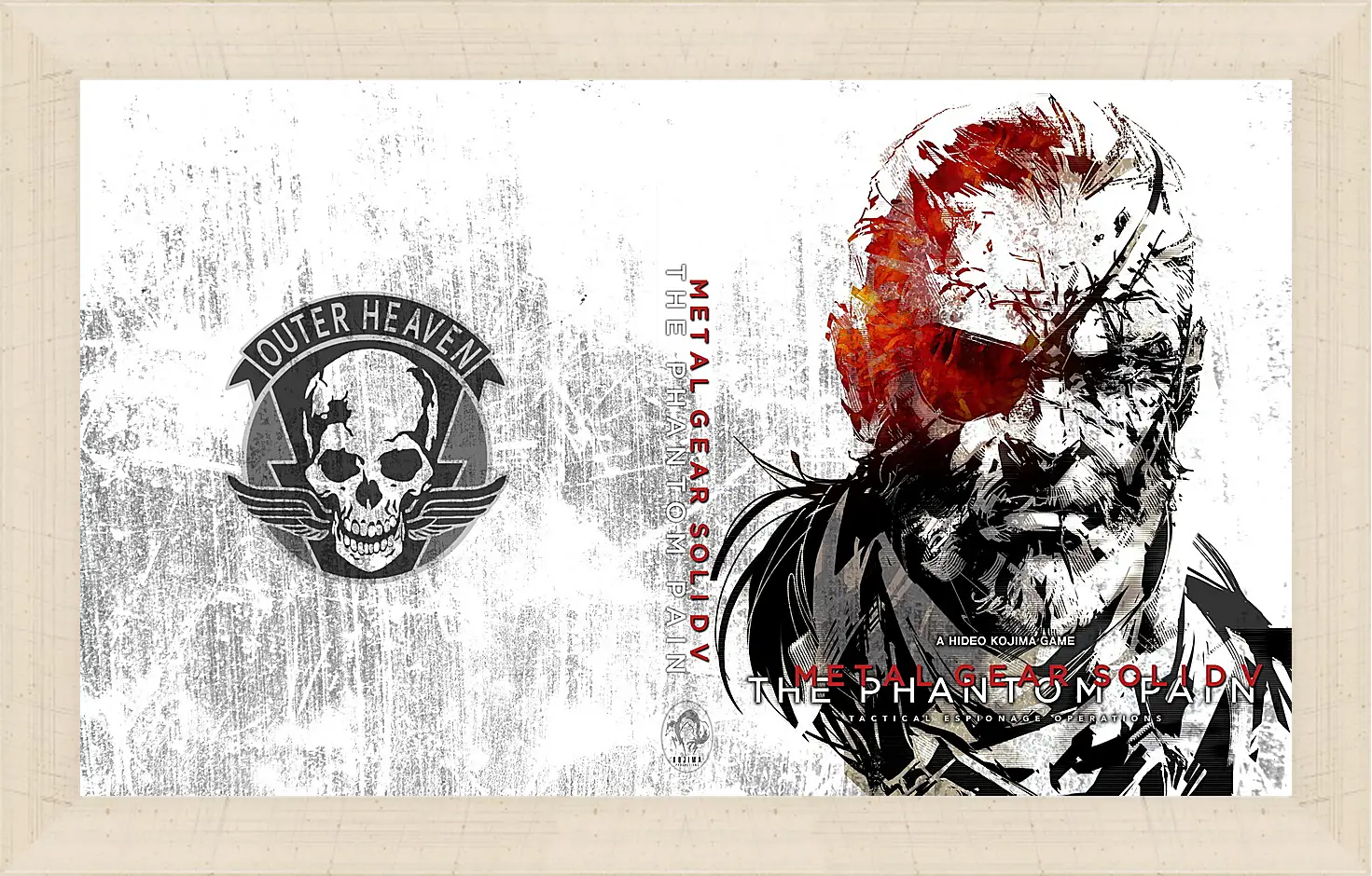 Картина в раме - Metal Gear Solid V: The Phantom Pain
