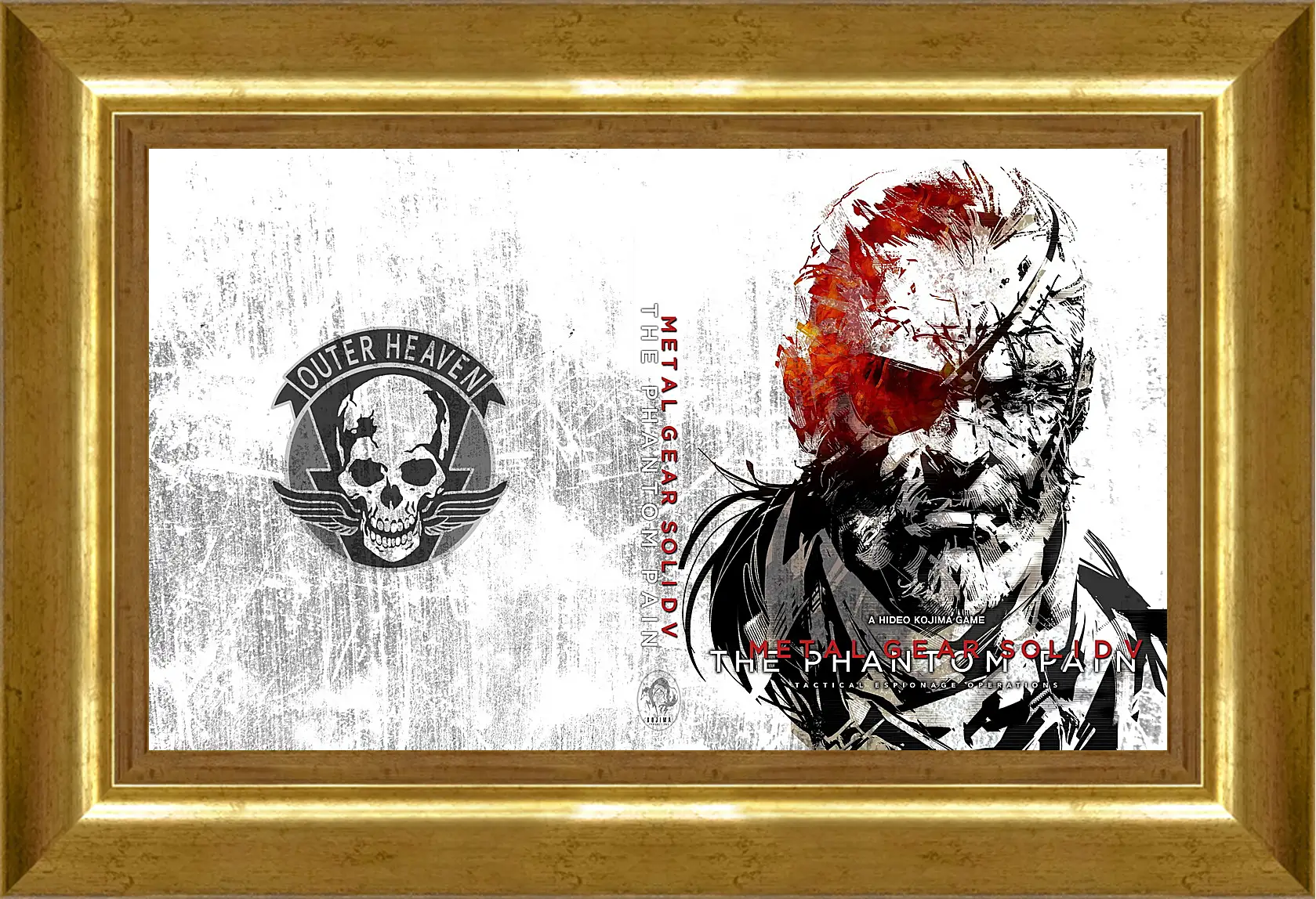 Картина в раме - Metal Gear Solid V: The Phantom Pain
