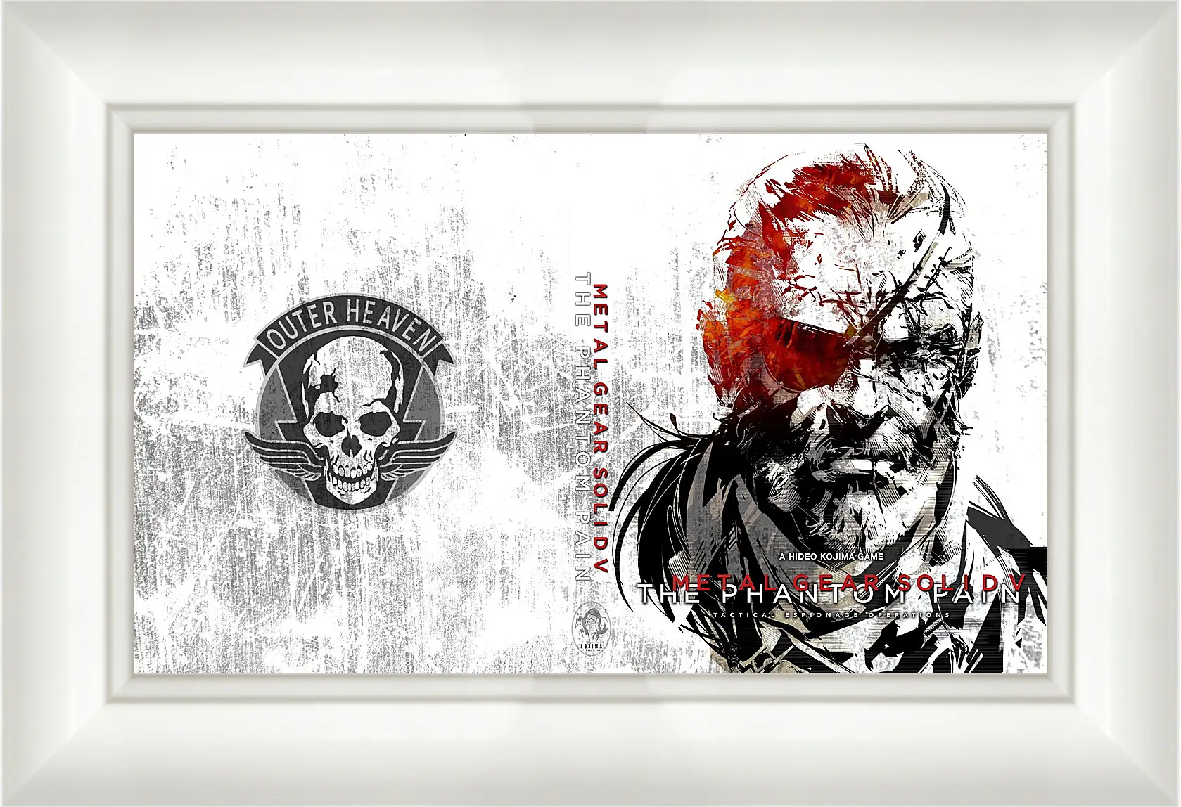 Картина в раме - Metal Gear Solid V: The Phantom Pain
