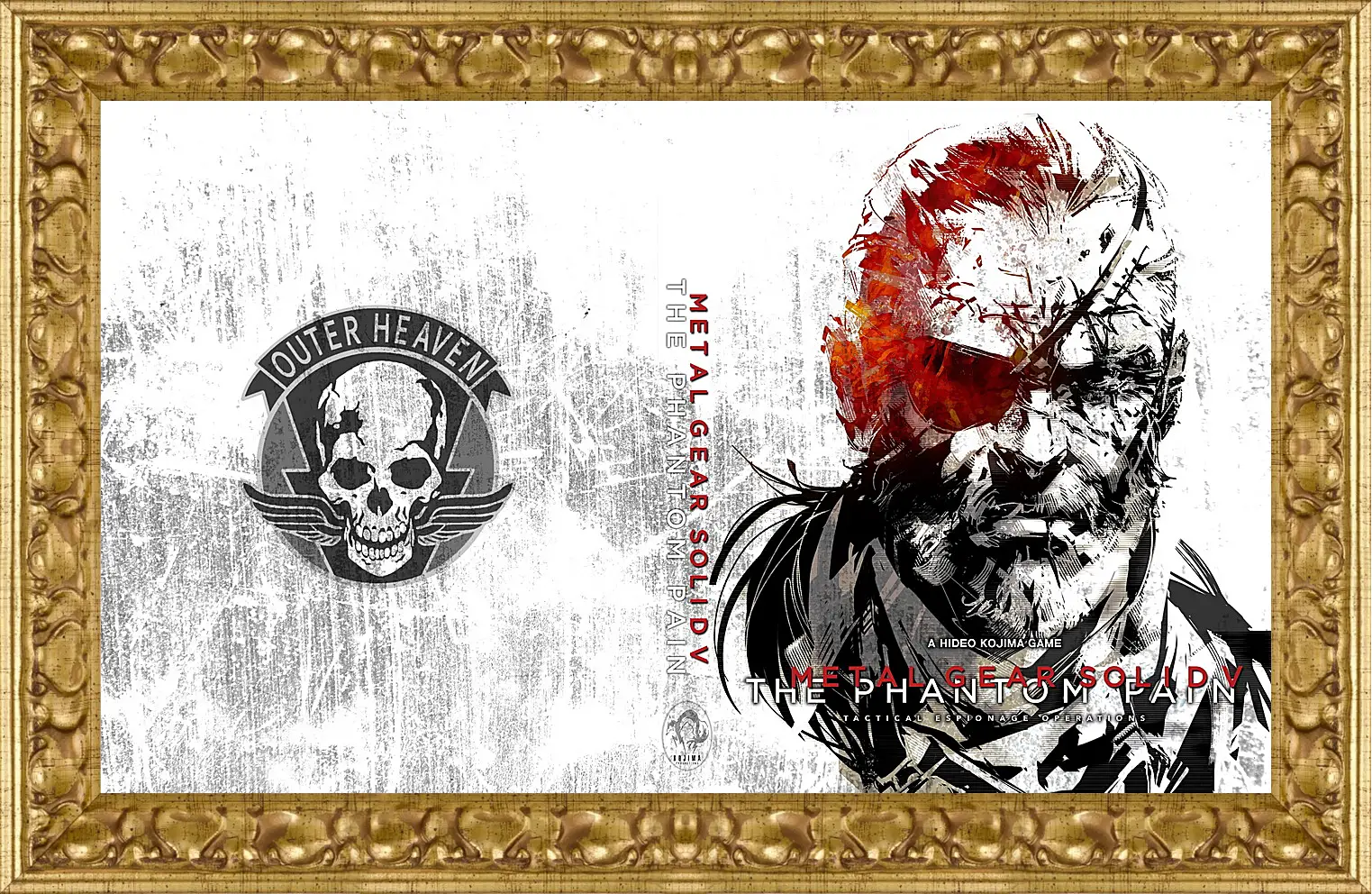Картина в раме - Metal Gear Solid V: The Phantom Pain
