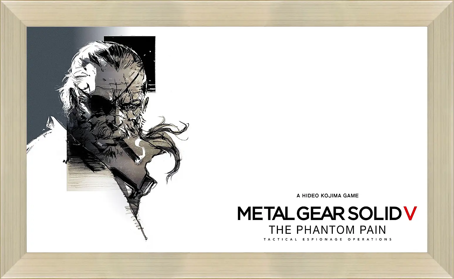 Картина в раме - Metal Gear Solid V: The Phantom Pain
