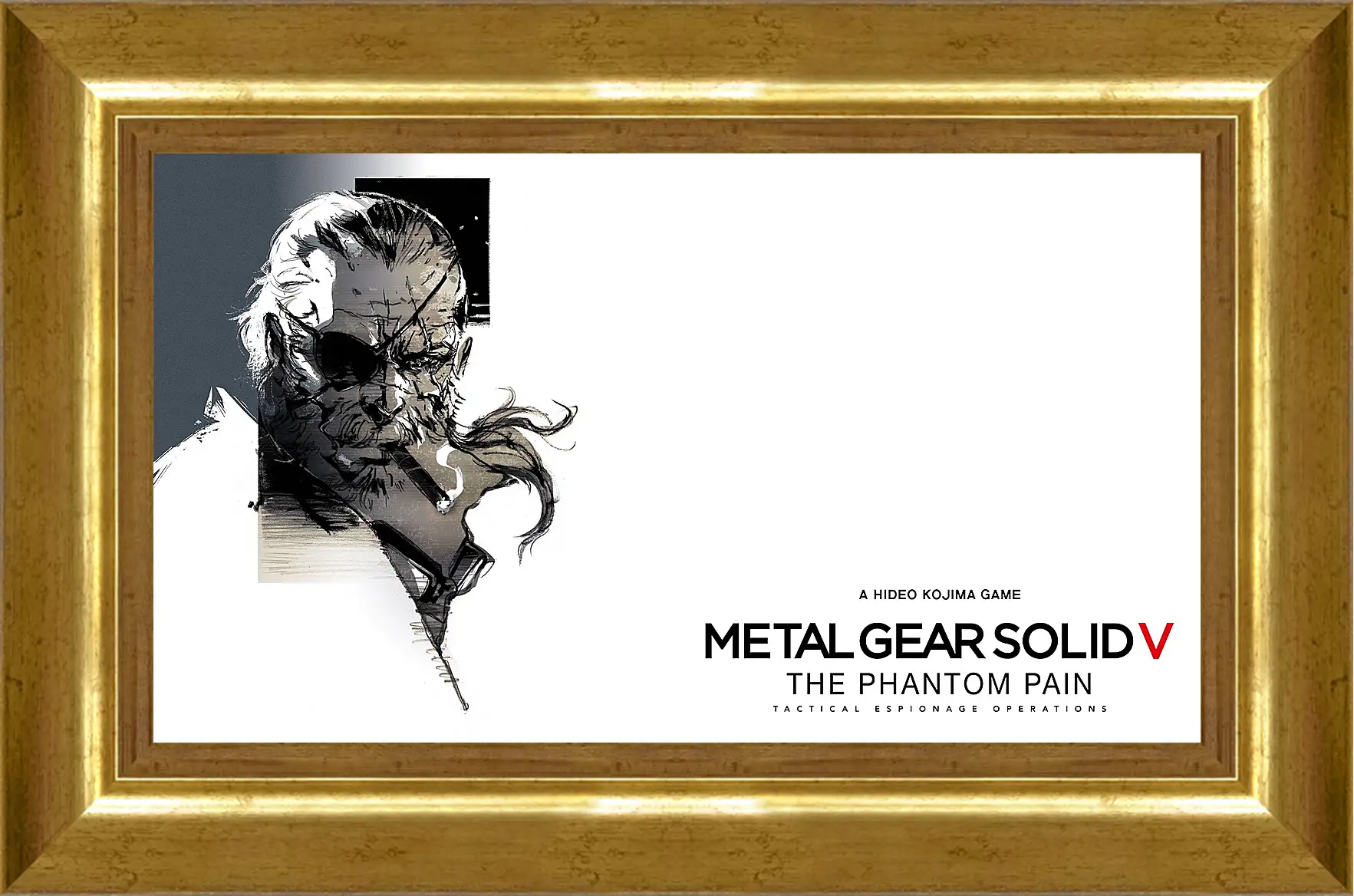 Картина в раме - Metal Gear Solid V: The Phantom Pain
