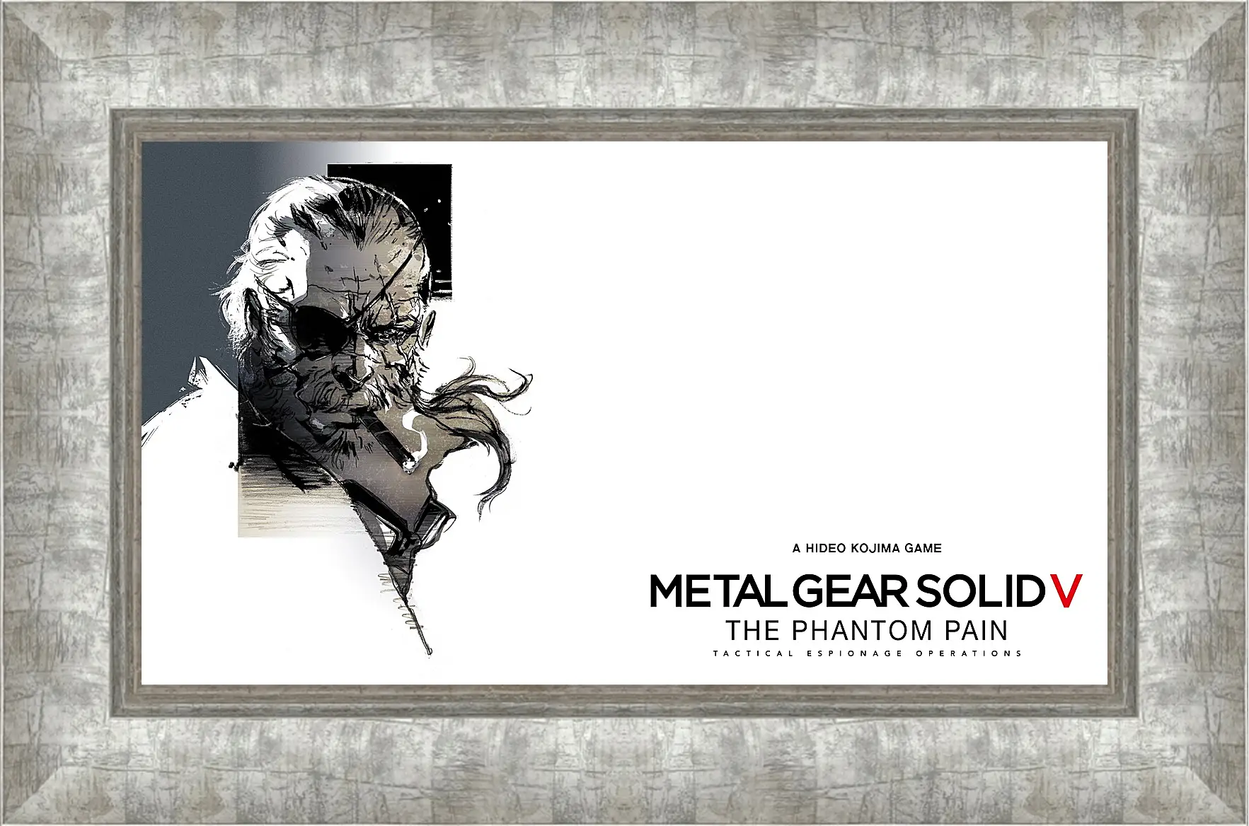 Картина в раме - Metal Gear Solid V: The Phantom Pain
