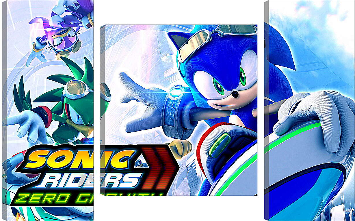 Модульная картина - Sonic Riders: Zero Gravity
