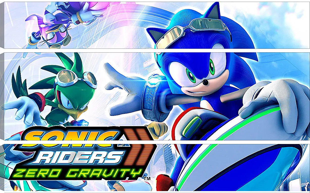 Модульная картина - Sonic Riders: Zero Gravity
