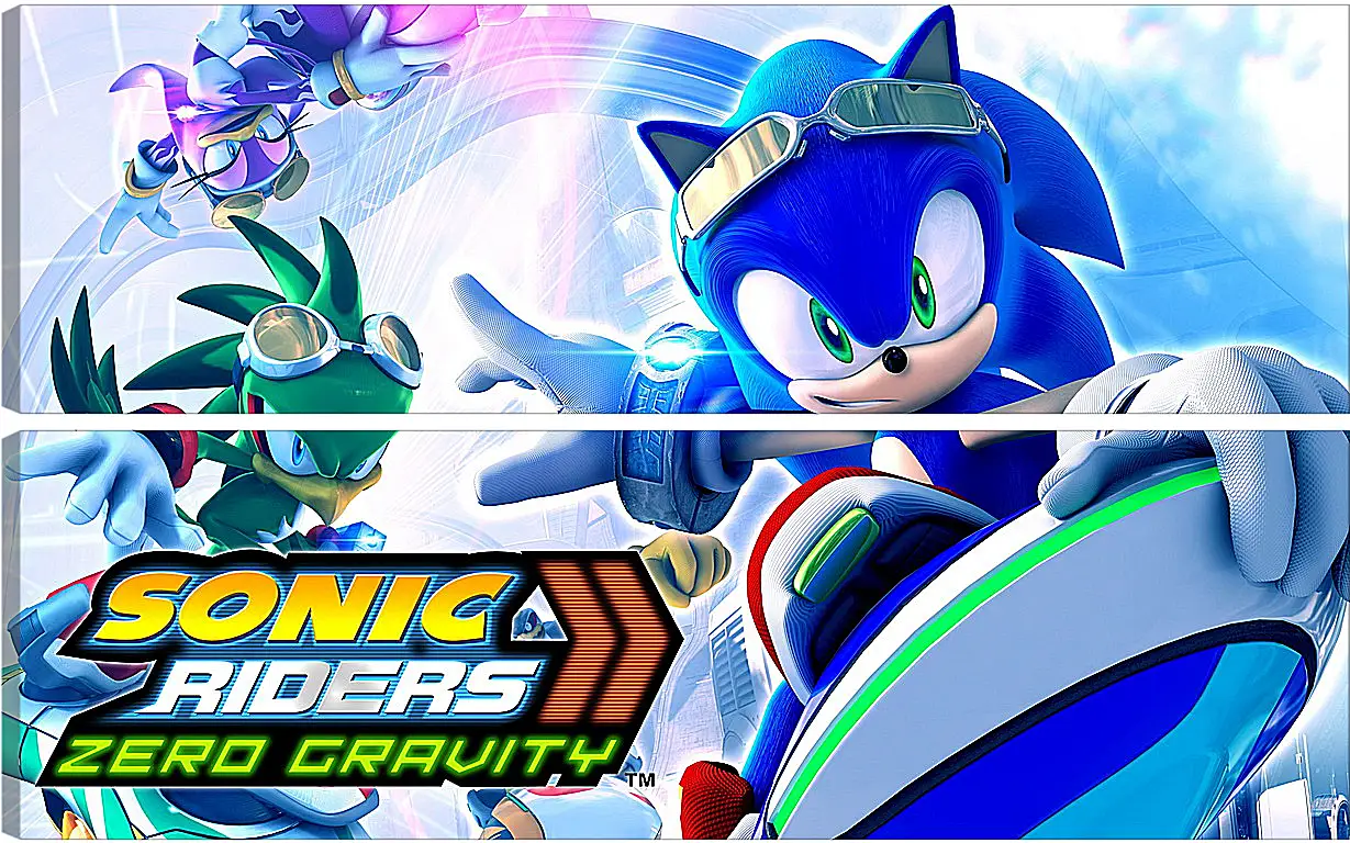 Модульная картина - Sonic Riders: Zero Gravity
