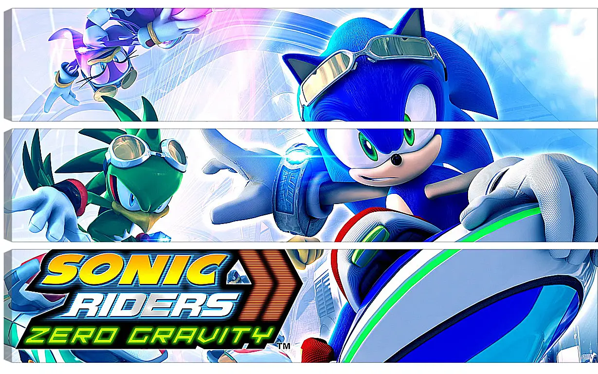 Модульная картина - Sonic Riders: Zero Gravity
