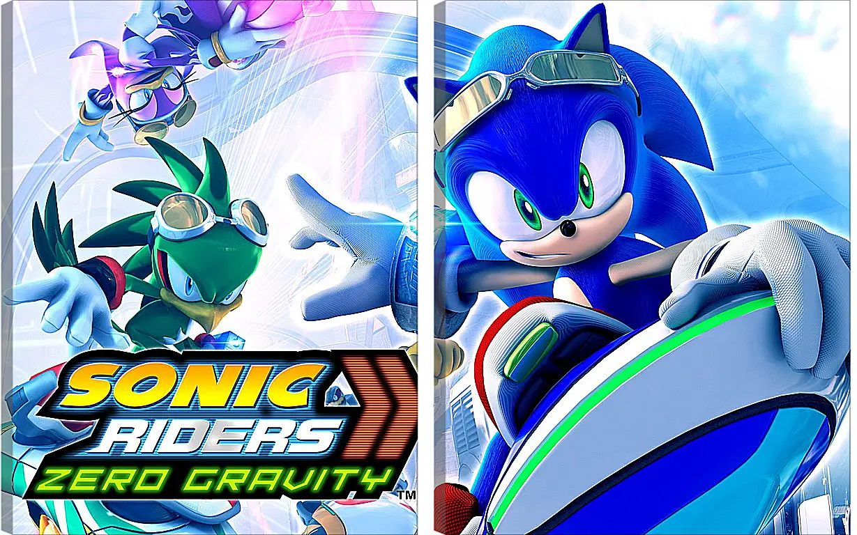 Модульная картина - Sonic Riders: Zero Gravity
