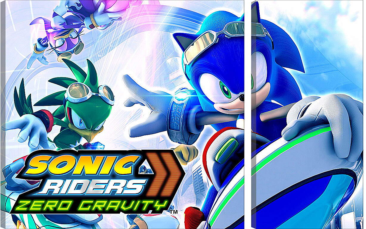 Модульная картина - Sonic Riders: Zero Gravity
