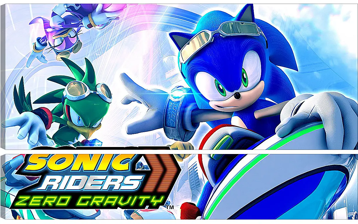 Модульная картина - Sonic Riders: Zero Gravity
