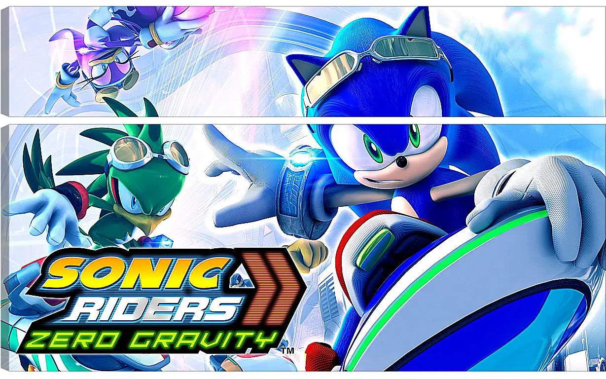 Модульная картина - Sonic Riders: Zero Gravity
