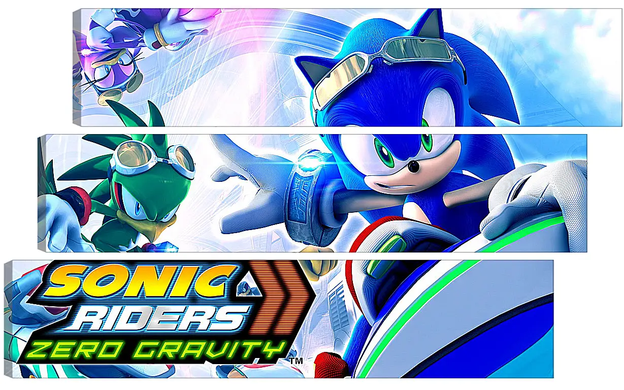 Модульная картина - Sonic Riders: Zero Gravity
