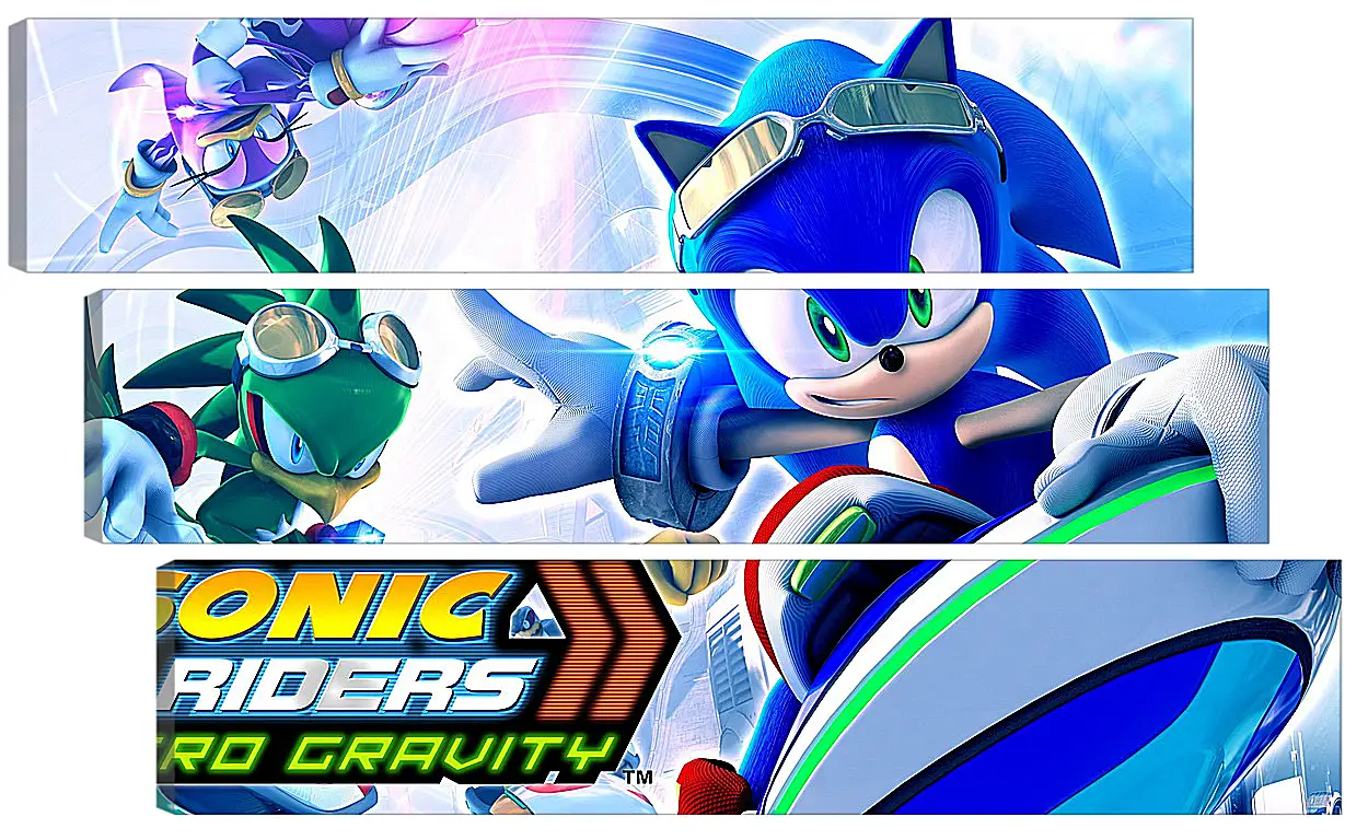 Модульная картина - Sonic Riders: Zero Gravity
