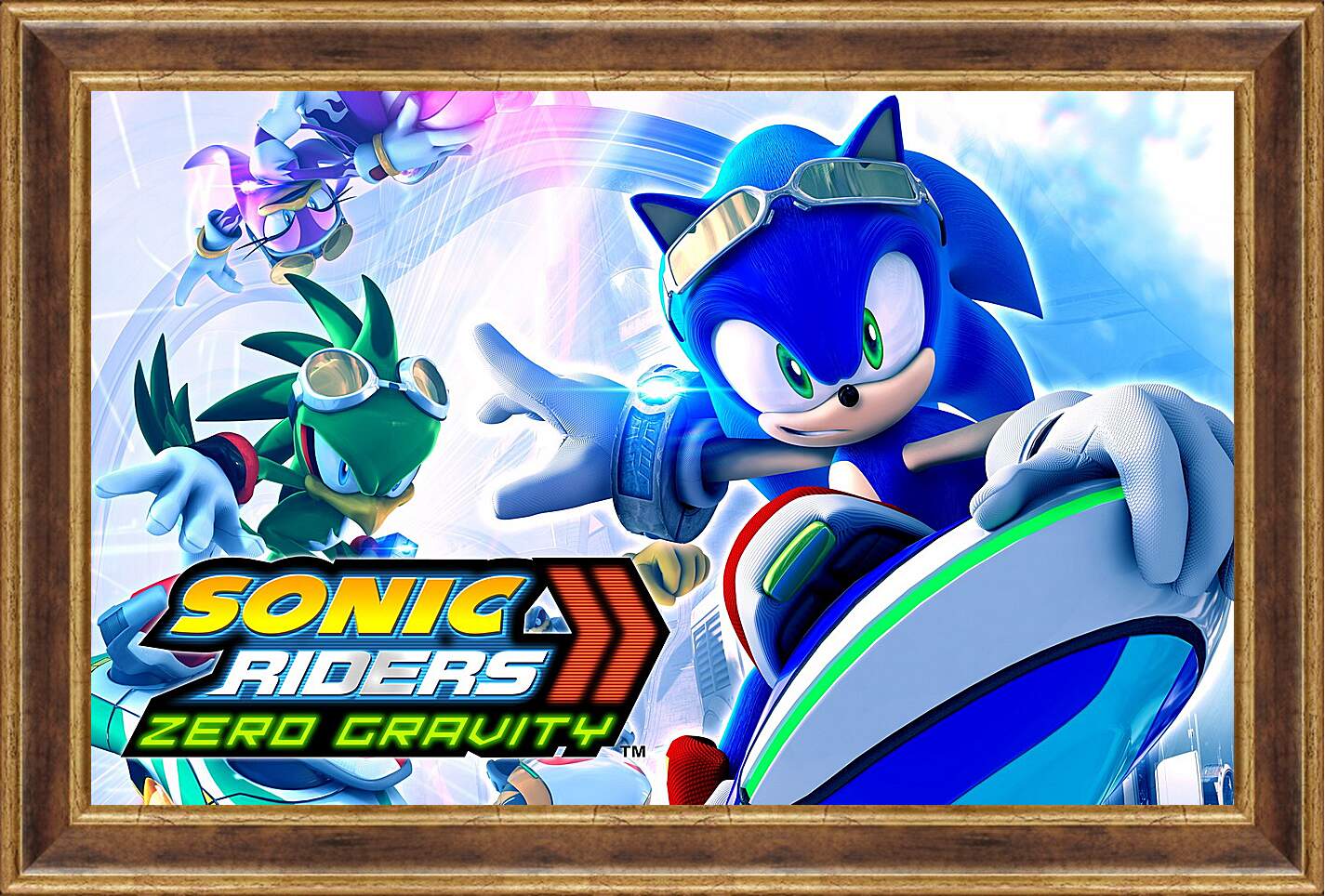 Картина в раме - Sonic Riders: Zero Gravity
