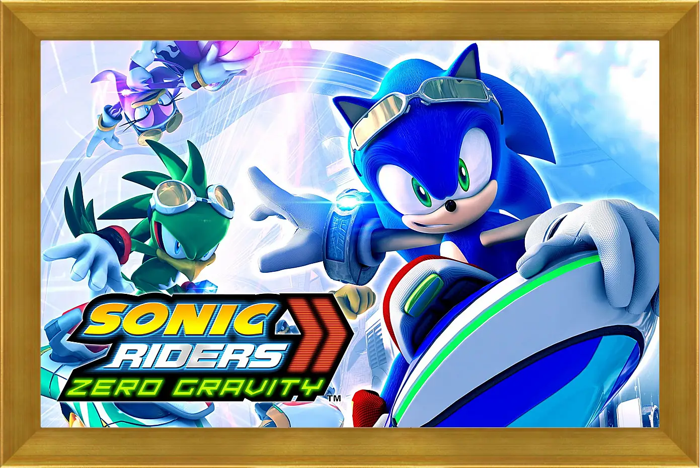 Картина в раме - Sonic Riders: Zero Gravity
