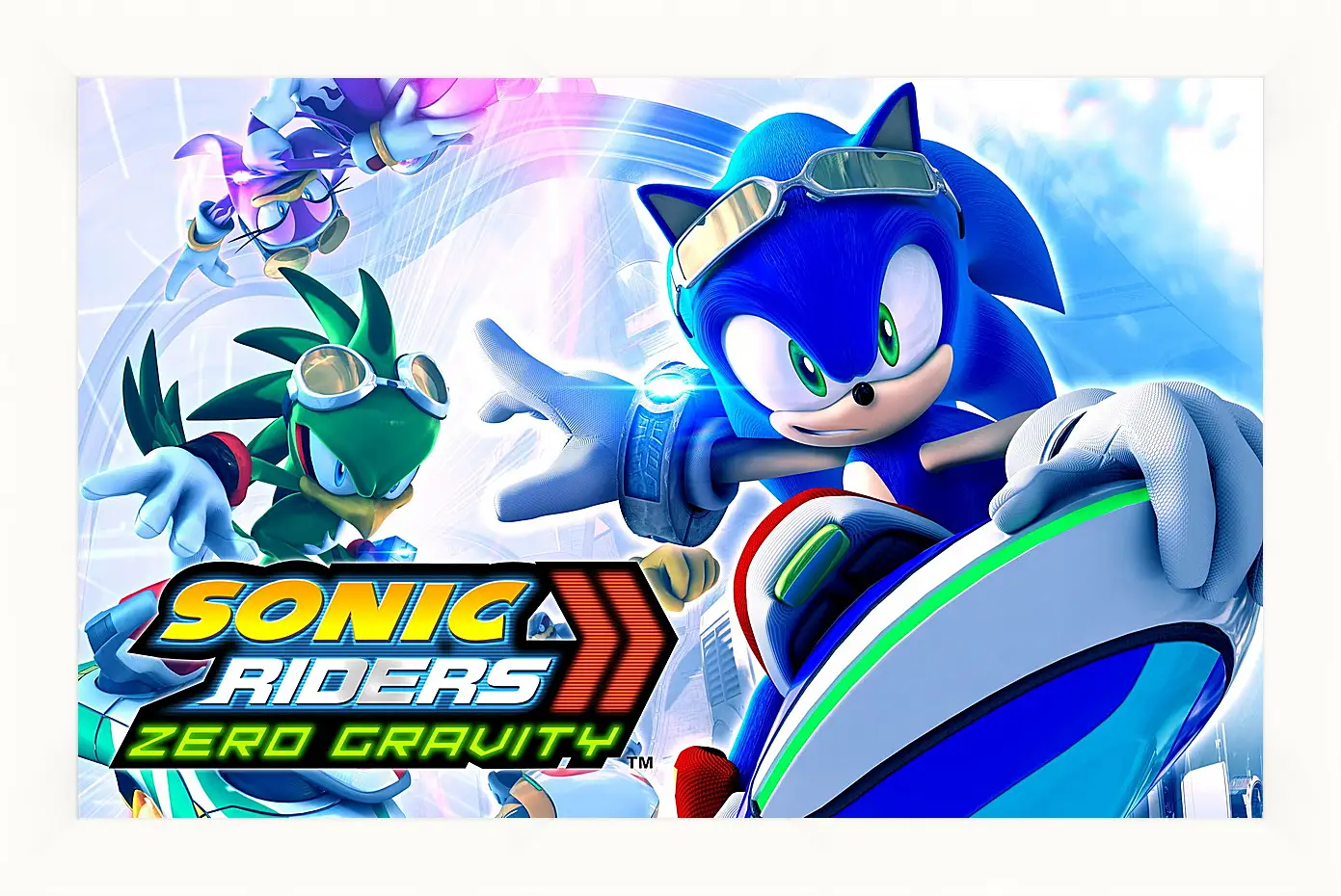 Картина в раме - Sonic Riders: Zero Gravity
