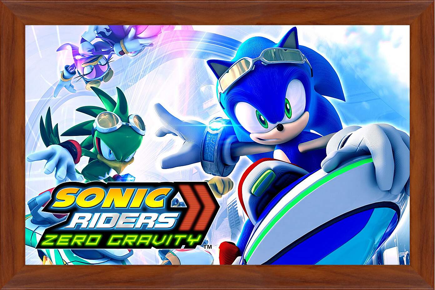 Картина в раме - Sonic Riders: Zero Gravity
