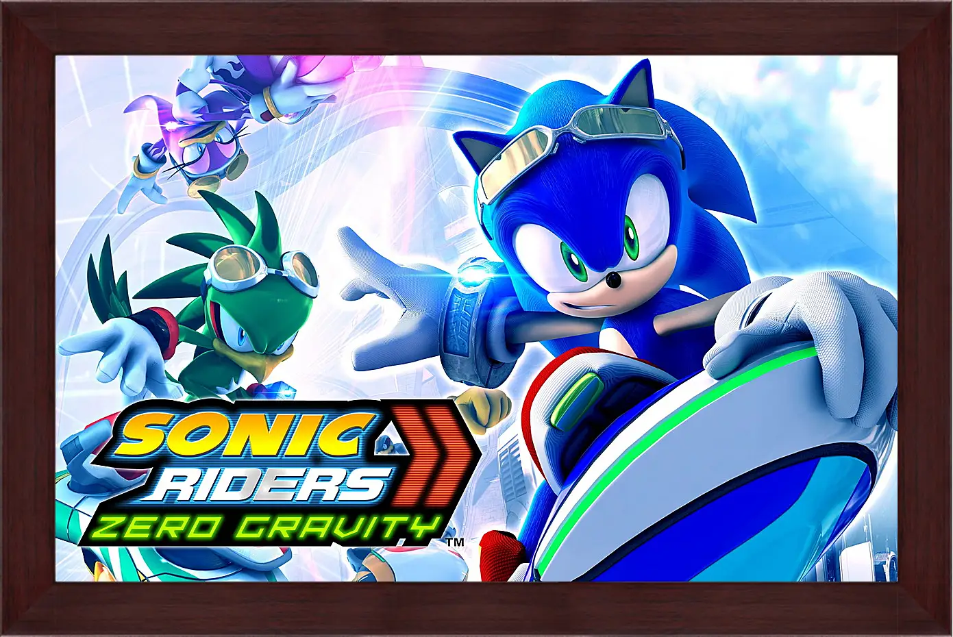 Картина в раме - Sonic Riders: Zero Gravity
