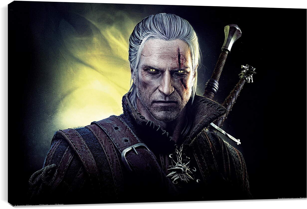 Постер и плакат - The Witcher 2: Assassins Of Kings