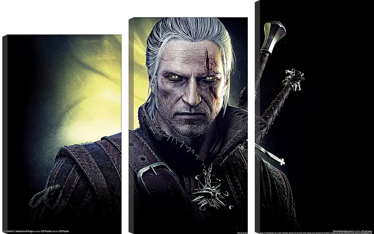 Модульная картина - The Witcher 2: Assassins Of Kings