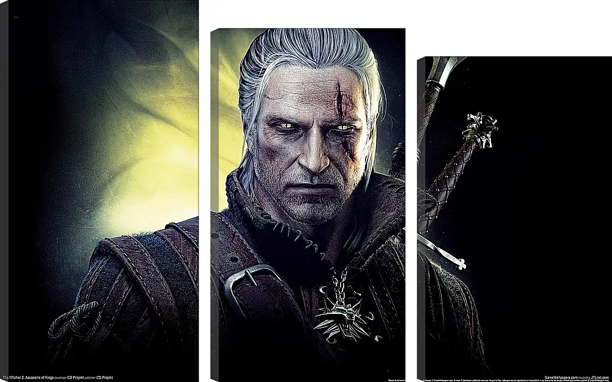 Модульная картина - The Witcher 2: Assassins Of Kings