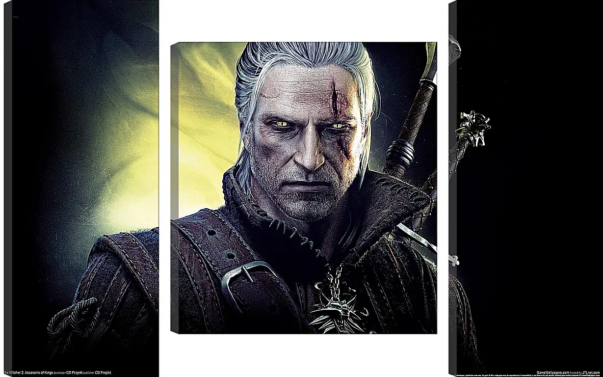 Модульная картина - The Witcher 2: Assassins Of Kings