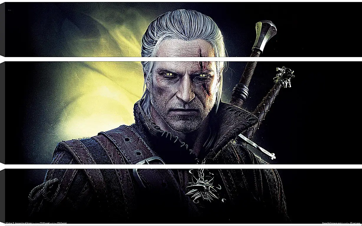 Модульная картина - The Witcher 2: Assassins Of Kings