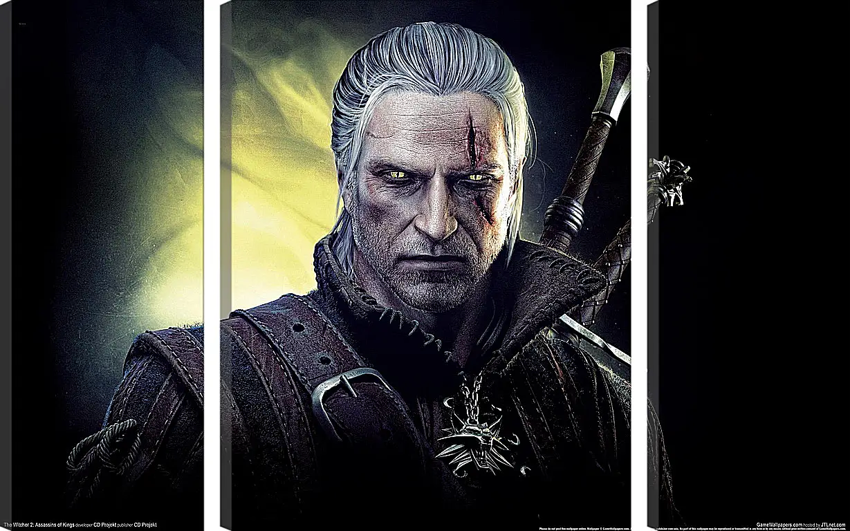 Модульная картина - The Witcher 2: Assassins Of Kings