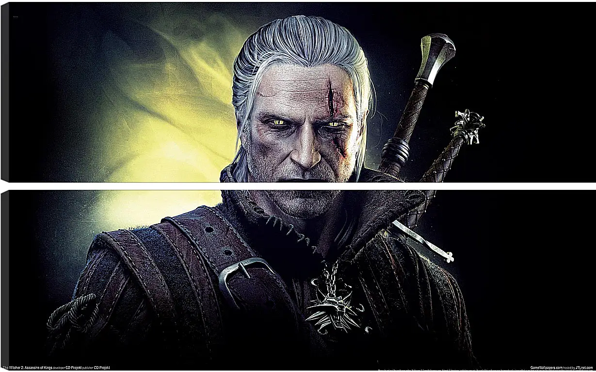 Модульная картина - The Witcher 2: Assassins Of Kings