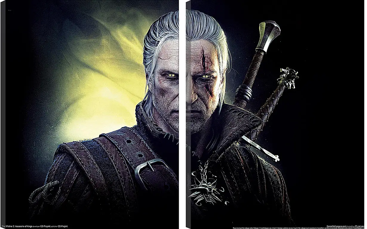 Модульная картина - The Witcher 2: Assassins Of Kings