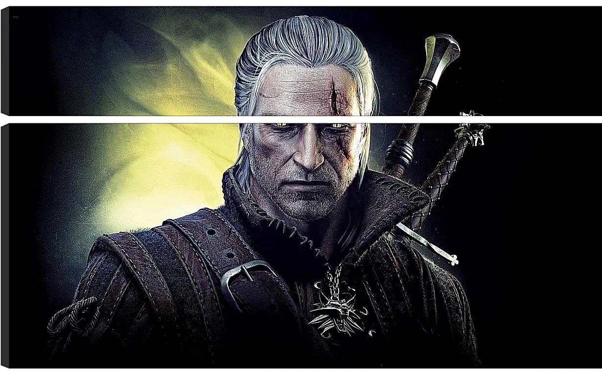 Модульная картина - The Witcher 2: Assassins Of Kings