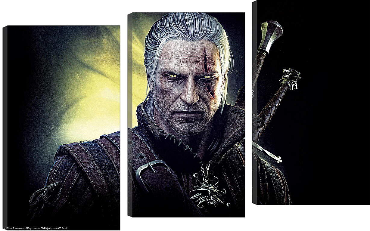 Модульная картина - The Witcher 2: Assassins Of Kings