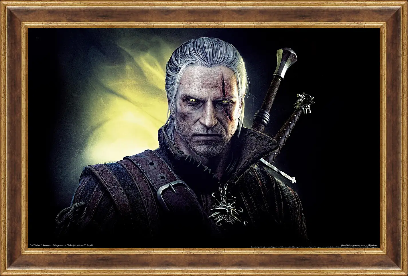 Картина в раме - The Witcher 2: Assassins Of Kings