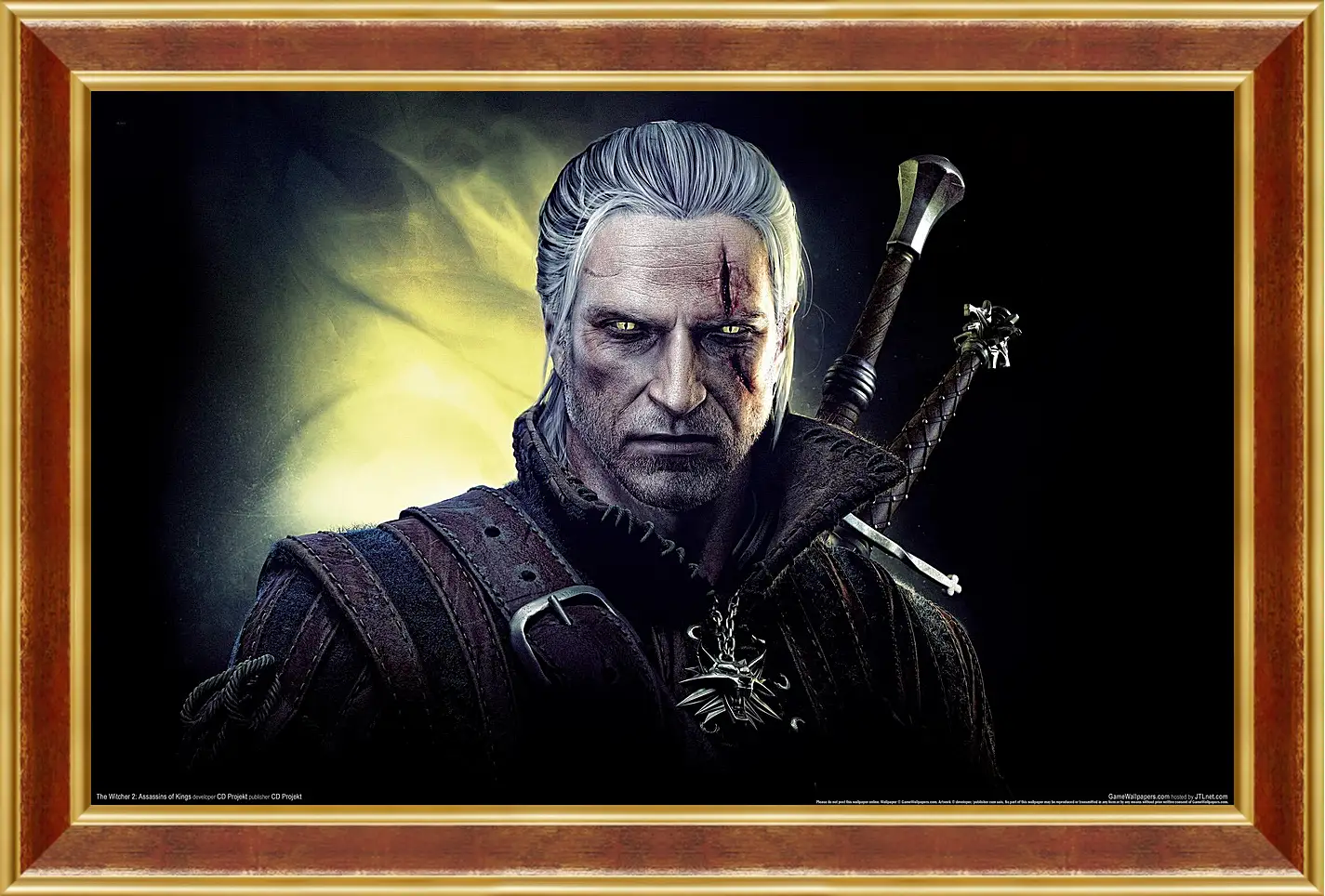 Картина в раме - The Witcher 2: Assassins Of Kings