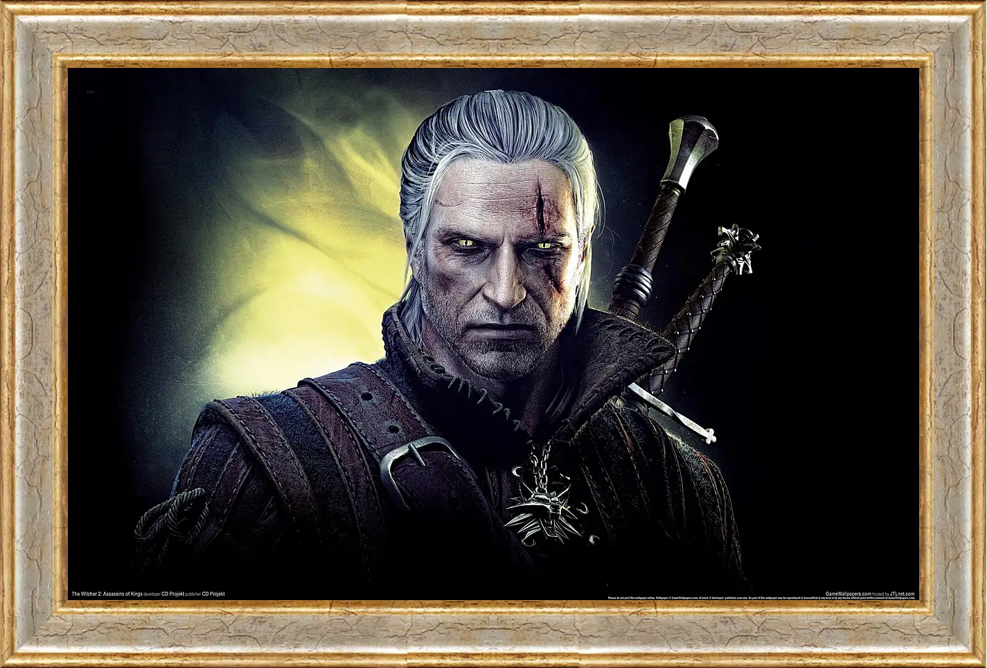 Картина в раме - The Witcher 2: Assassins Of Kings