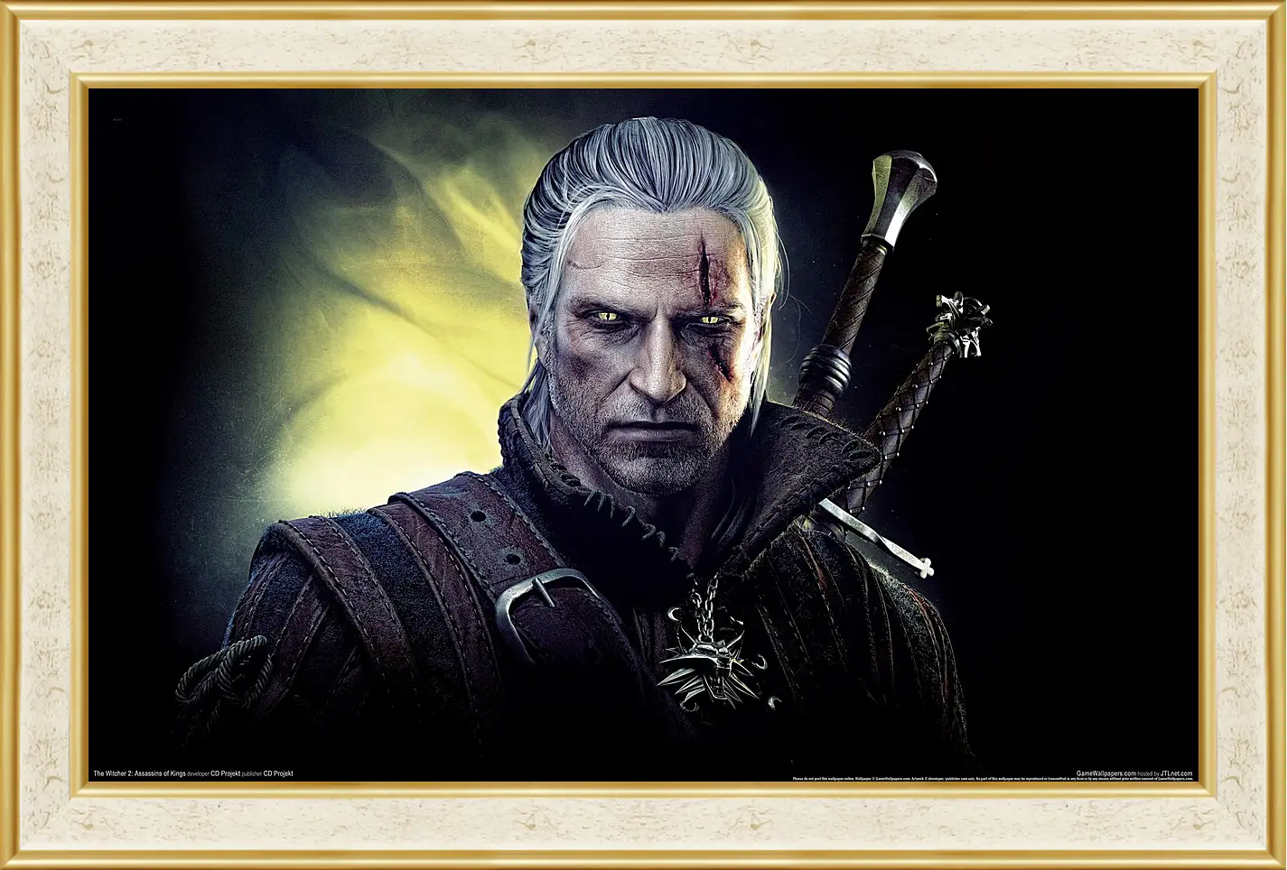 Картина в раме - The Witcher 2: Assassins Of Kings