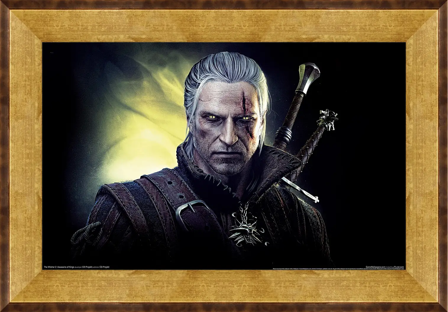 Картина в раме - The Witcher 2: Assassins Of Kings