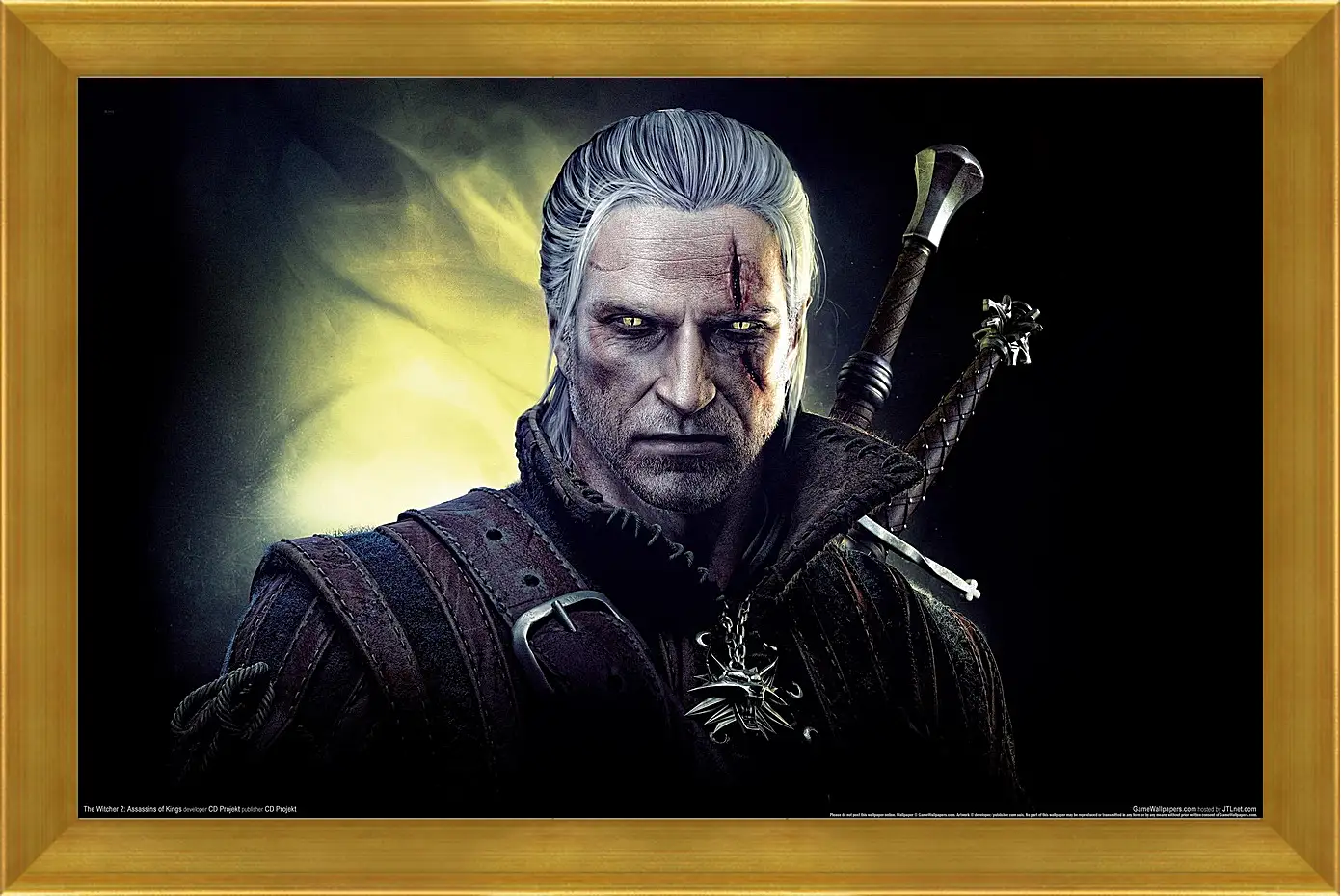 Картина в раме - The Witcher 2: Assassins Of Kings