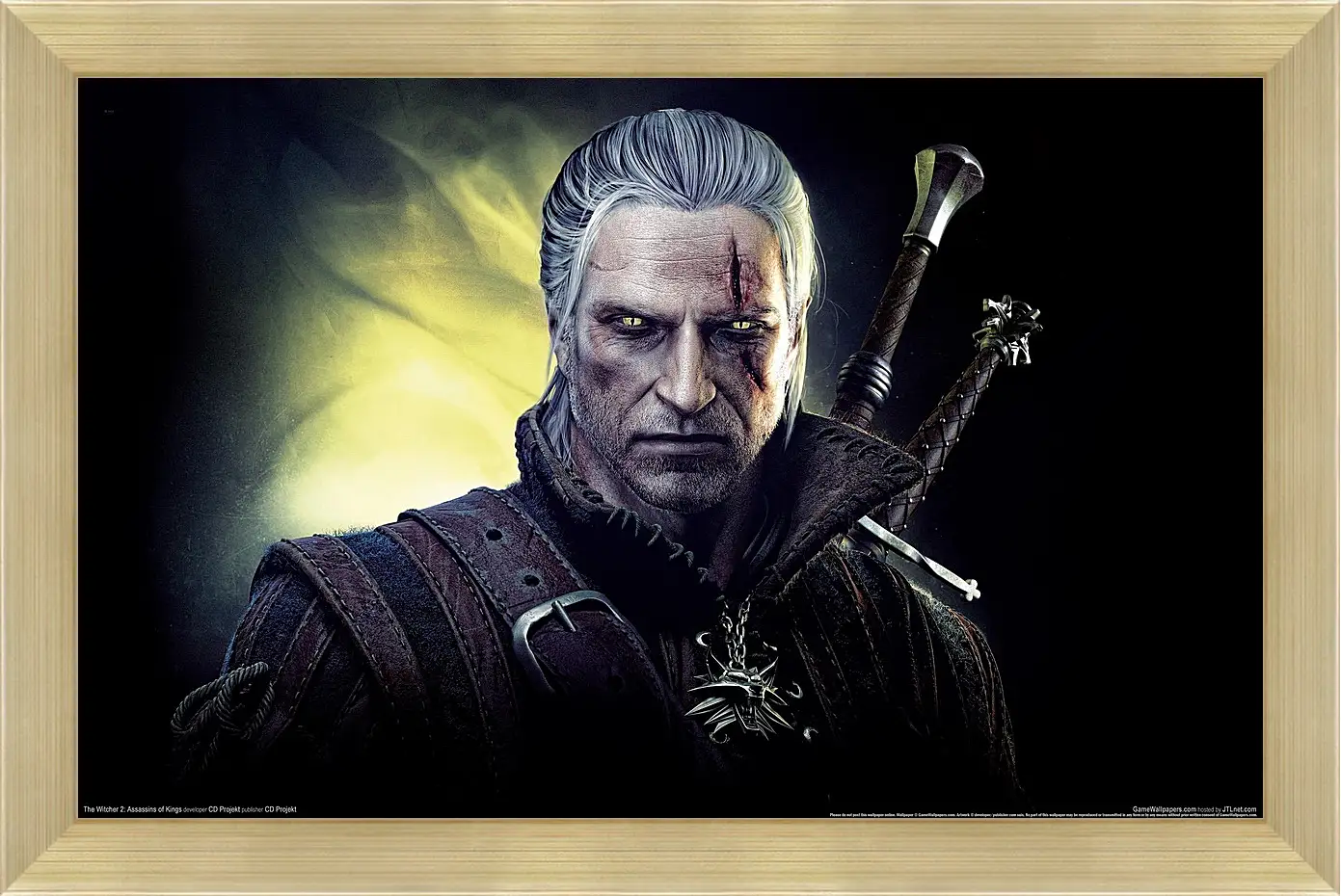 Картина в раме - The Witcher 2: Assassins Of Kings