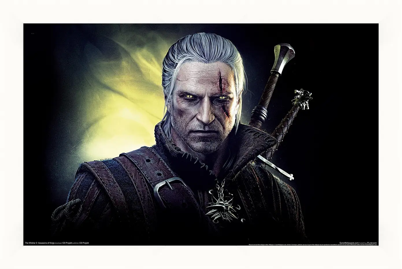 Картина в раме - The Witcher 2: Assassins Of Kings