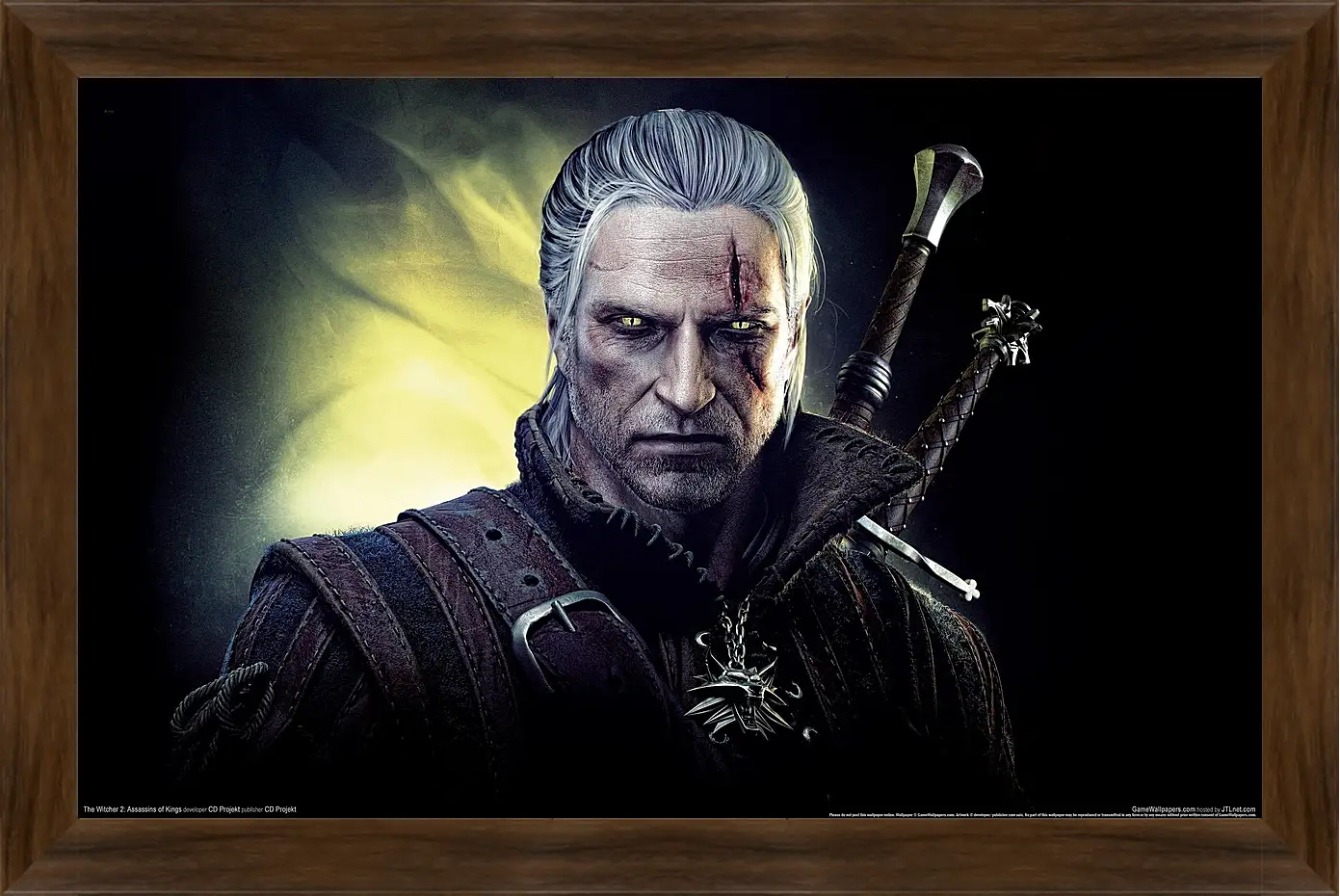 Картина в раме - The Witcher 2: Assassins Of Kings