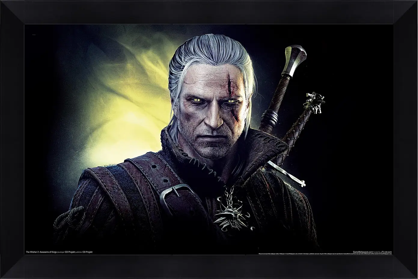 Картина в раме - The Witcher 2: Assassins Of Kings