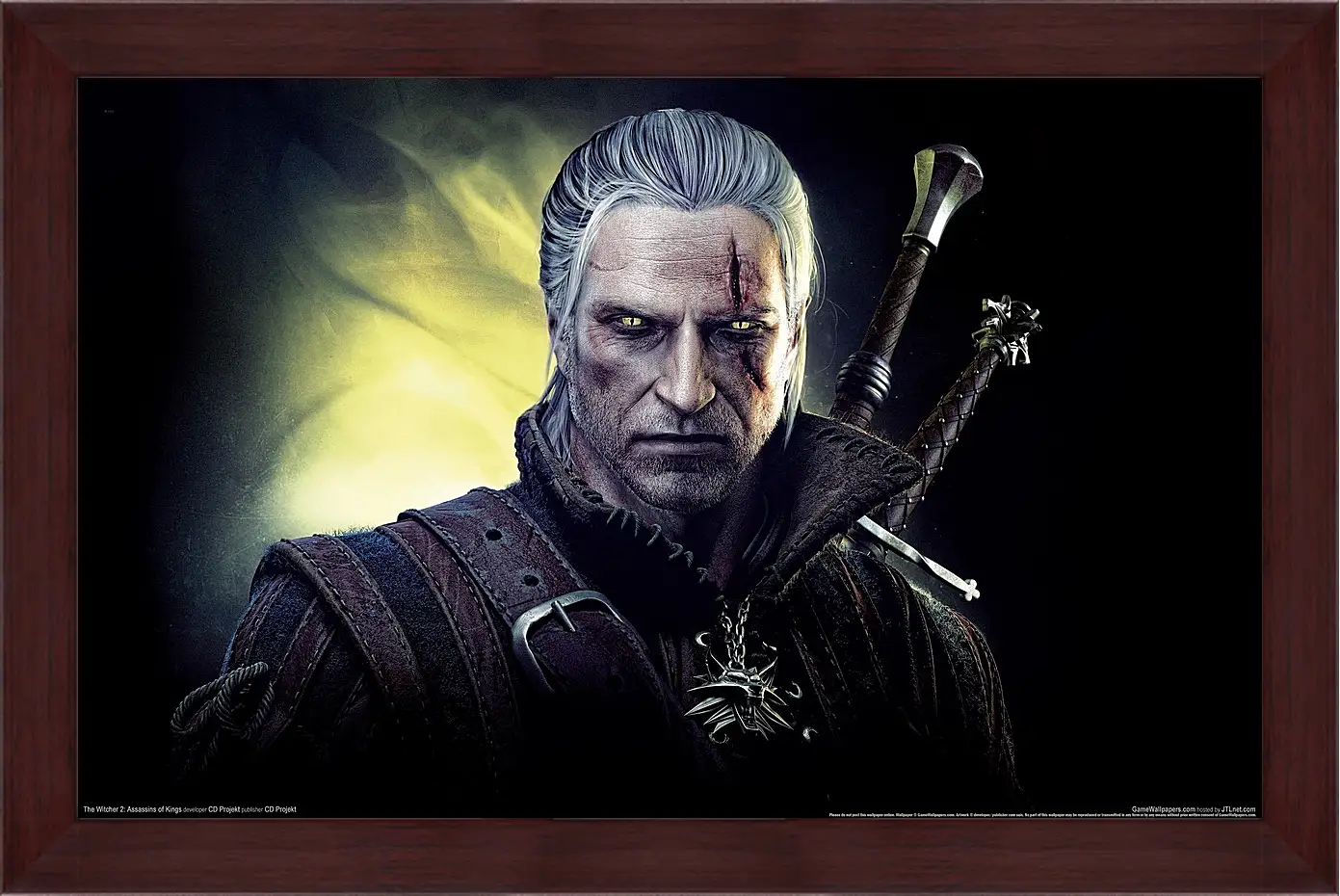 Картина в раме - The Witcher 2: Assassins Of Kings